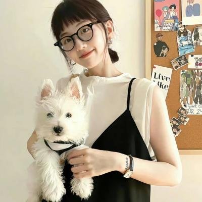 欢乐人生 海报